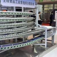 Industriële koelmachines voor snelvriezen, blastvriezers, IQF-tunnels, spiraalvriezers voor diepvriesfruit, -groenten, -vis en -vlees