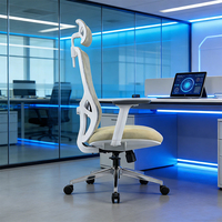 Chaise de bureau ergonomique confortable avec support lombaire en mousse à mémoire de forme 2D, chaises d'ordinateur en maille