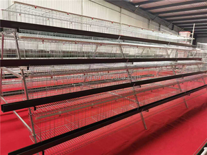 Cage à poules de type 96, adaptée à la ponte automatique, élevage intelligent, adapté aux grandes exploitations agricoles, pas besoin de défécation - Product Image 3