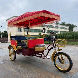 Nouvelle tendance : tricycle électrique sur mesure avec toit, bus électrique de tourisme, idéal pour les attractions de parc et les voitures classiques. - Product Image 5