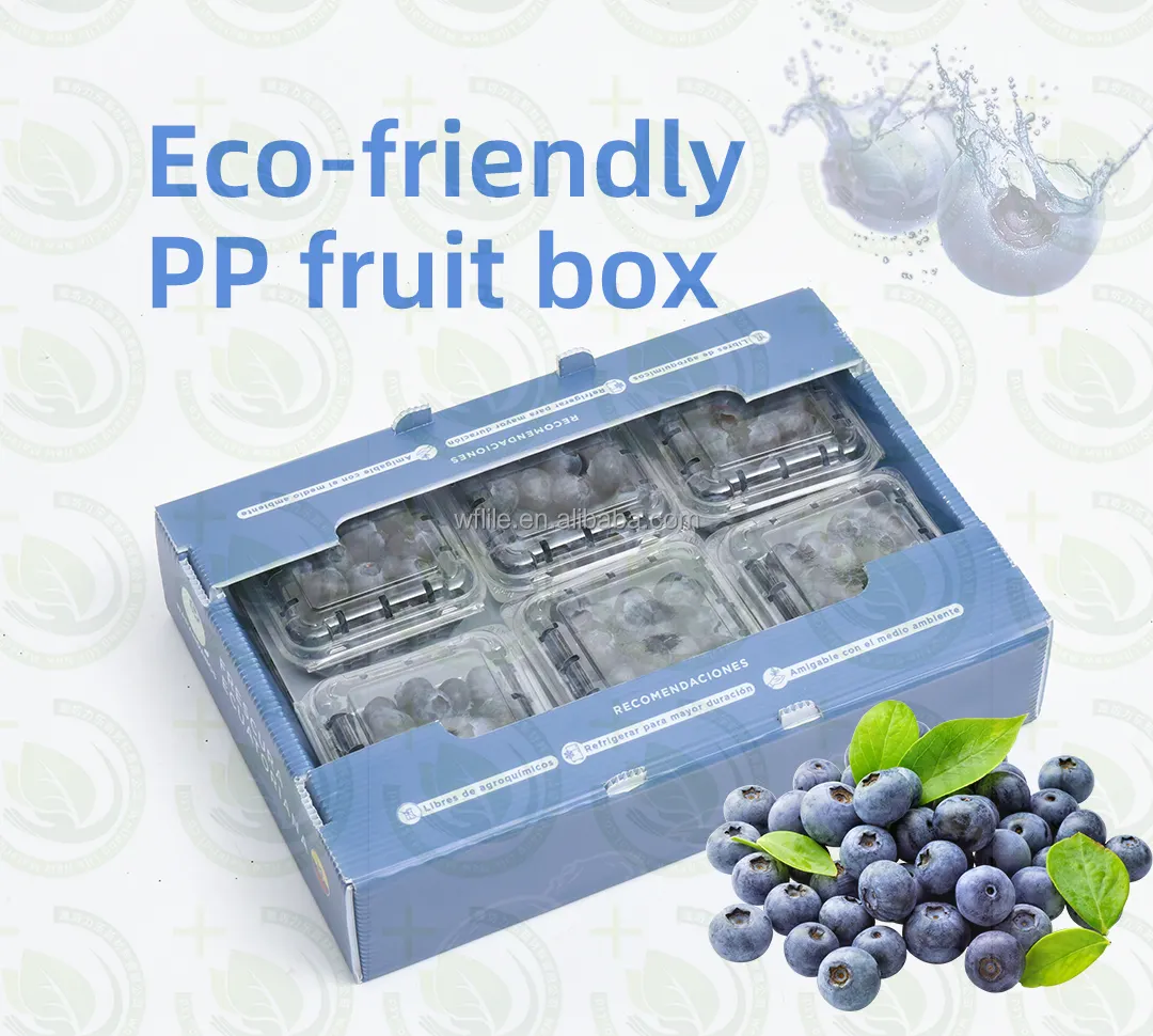 Correxpp中空ボックス段ボールプラスチックムービングボックス段ボールpp野菜フルーツオクラジンジャー梱包箱