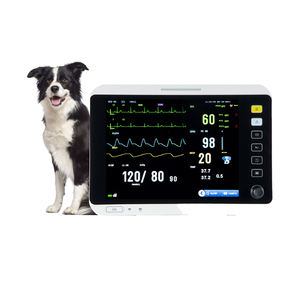 Presisi tinggi canggih tanda Vital perawatan intensif Real-timer mesin Multi-parameter dokter hewan <span class=keywords><strong>Monitor</strong></span> Multiparameter - Product Image 6