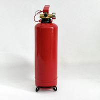 ISO certifié CE classe ABC poudre sèche extincteur 3kg DCP cylindres différents Types disponibles