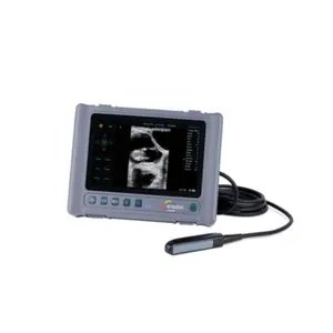 Portable Handheld Professional Palm Full-Digital Veterinary Ultrasound System Price Ruisheng T8