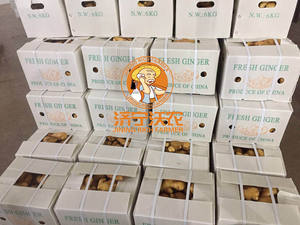 סיני ג 'ינג' ר גדול על מכירות חמות - Product Image 6