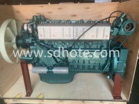 Ensemble de moteur de camion robuste WD615.69 10L 247KW utilisé pour le camion à benne basculante Sinotruk Howo 6*4