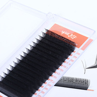 Extensions de cils en forme de U YY 0,07 mm, plateau d'extensions de cils 2D en forme de trèfle, personnalisation gratuite du logo et de l'emballage