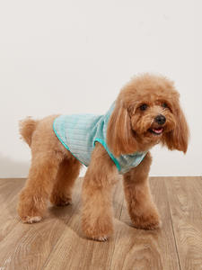 Flanel Sonbahar ve Kış Yeni Toptan Örme Köpek Süveteri Köpek Kapüşonlu Modası Küçük Köpekler İçin Evcil Hayvan Giysileri - Product Image 5