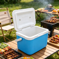 Glacière isotherme 5L personnalisable avec logo OEM, vente en gros pour usage extérieur