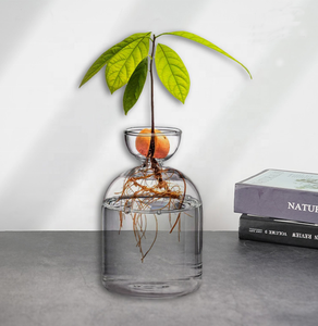 Jarrones de Vidrio con Forma de Árbol de <span class=keywords><strong>Aguacate</strong></span>, Kit de Cultivo de Árbol de <span class=keywords><strong>Aguacate</strong></span>, <span class=keywords><strong>Maceta</strong></span>, Bulbo de Vidrio para Plantas, Decoración de Interiores para Mesa de Hogar y Escritorio - Product Image 2