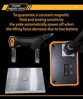 Détecteur de défauts magnétique certifié CE, alimentation CA/CC, inspection fluorescente UV, équipement CND, détecteur de défauts rechargeable