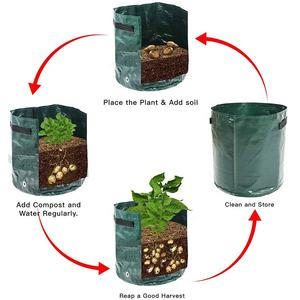 OEM vente en gros personnalisé noir vert foncé PE <span class=keywords><strong>fraise</strong></span> 3/5/7/10 gallons sacs de culture de rhizomes pour plants de pommes de terre et légumes - Product Image 1