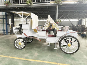 Buggy électrique de tourisme classique Victoria de haute qualité avec sièges confortables – Voiture de luxe pour sites touristiques et hôtels - Product Image 5