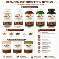 Capsules de Maca en Formule Personnalisée OEM/ODM, Complément Alimentaire Très Vendu pour Adultes, Meilleur Prix pour la Santé Masculine