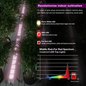 150 डब्ल्यू के नेतृत्व में बहुत लाल रंग के साथ उगा रहा है. - Product Image 4