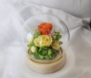 Rose éternelle classique <span class=keywords><strong>Rosa</strong></span> <span class=keywords><strong>Bella</strong></span> E Bestia, La Belle et la Bête sous cloche en verre, cadeau de la Saint-Valentin - Product Image 4