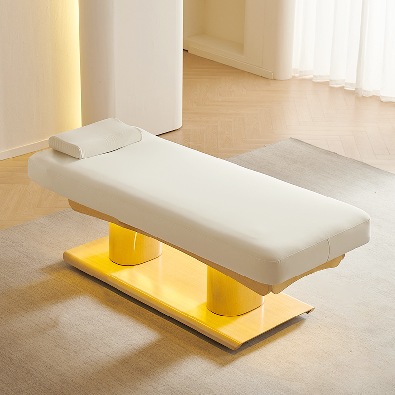2 motors(Adjust Backrest + Legrest) without armrests