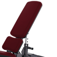 Banc de musculation réglable multifonctionnel inclinable, déclinable et plat pour la maison, la salle de sport et l'usage commercial