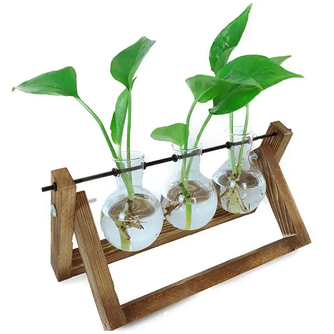 Dropshipping Glas Plant Propagatie Stations Met Houten Standaard Lucht Planten Houders Glas Vaas Voor Kamerplanten