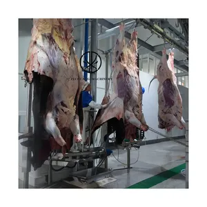 巨大な食肉処理場1時間あたり300頭の牛ハラールイスラム教徒の肉加工植物牛の食肉処理装置機械を伝える