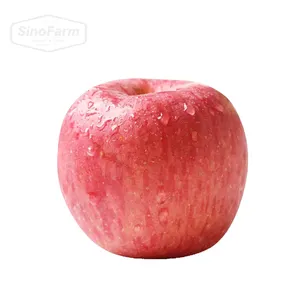 2023 Suculento fresco vermelho Fuji Apple fruta maçã fresca natural fabricantes menor preço vermelho Fuji Apple