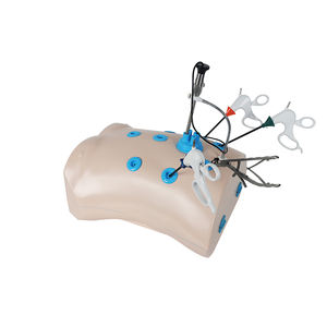 Conjunto De Caixa De Treinador Laparoscópica Simulador Laparoscopia Caixa De Treinamento De Porto Único Abdominal Laparoscópica - Product Image 6