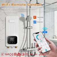 Chauffe-eau intelligent mini de haute qualité CE CB EMC 3,5 kW avec télécommande pour douche et bain