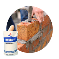 Hebei Hpmc Fournisseurs de produits chimiques Cellulose Ether Hpmc de qualité pour carrelage Bond 100000 Viscosité