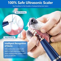 Nettoyeur de dents pour chien rechargeable, détartreur ultrasonique 40 KHz avec lumière LED et outils dentaires pour les soins dentaires des animaux domestiques à domicile