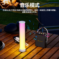 Lampe d'ambiance LED RGB Bluetooth rechargeable pour PC, effet flamme, pour camping extérieur, synchronisation musicale, contrôle par application, transfrontalière