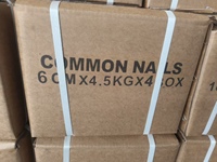 Clous en fil de fer courants, 1 kg par boîte, 25 kg par carton, clous en fer galvanisé pour béton et bois