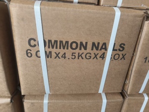 <span class=keywords><strong>Clous</strong></span> en fil de fer courants, 1 kg par boîte, 25 kg par carton, <span class=keywords><strong>clous</strong></span> en fer galvanisé pour béton et bois - Product Image 2