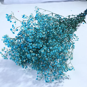 توريد بالجملة لزهور الجيبسوفيلا الطبيعية المجففة والمحفوظة، زهور أنفاس الطفل الأبدية، زهور الملايين من النجوم - Product Image 1