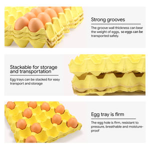 Cajas Cuadradas de Pulpa Biodegradable y Ecológica para Huevos y Cajas de Cartón, Embalaje Resistente a Impactos para la Industria Alimentaria, Granjas y Supermercados - Product Image 4