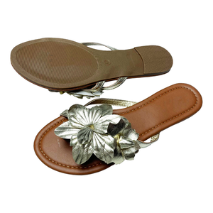 Sandales plates pour femmes Bosirui 2021, confortables, plateforme, été, <span class=keywords><strong>plage</strong></span>, mode, voyage, tongs pour femmes <span class=keywords><strong>avec</strong></span> antidérapant - Product Image 2