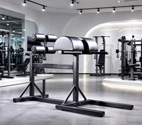 Chaise romaine GHD réglable, banc d'hyperextension, machine de développement des muscles fessiers et des ischio-jambiers pour l'entraînement du tronc et du dos, équipement de gym professionnel
