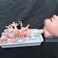 Modelo de Entrenamiento para Broncoscopia Oral, Modelo de Práctica para Broncoscopio