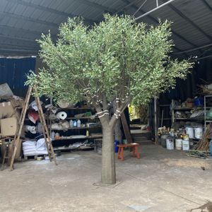Cây ô liu giả chất liệu sợi thủy tinh cao cấp, chất lượng cao, siêu thực, chạm khắc tinh xảo, kích thước lớn, dùng trang trí Tết Nguyên đán - Product Image 1