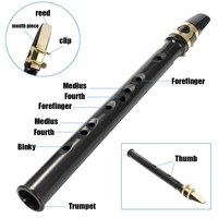 Pocket Sax Mini Portable Saxophone Little Saxophone With Carrying Bag Woodwind Instrument