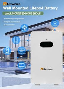 5kwh 10KW ลิเธียมเหล็กฟอสเฟตติดผนังพลังงาน100AH 15kwh แบตเตอรี่ Lifepo4 Lfp ขนาด48โวลต์