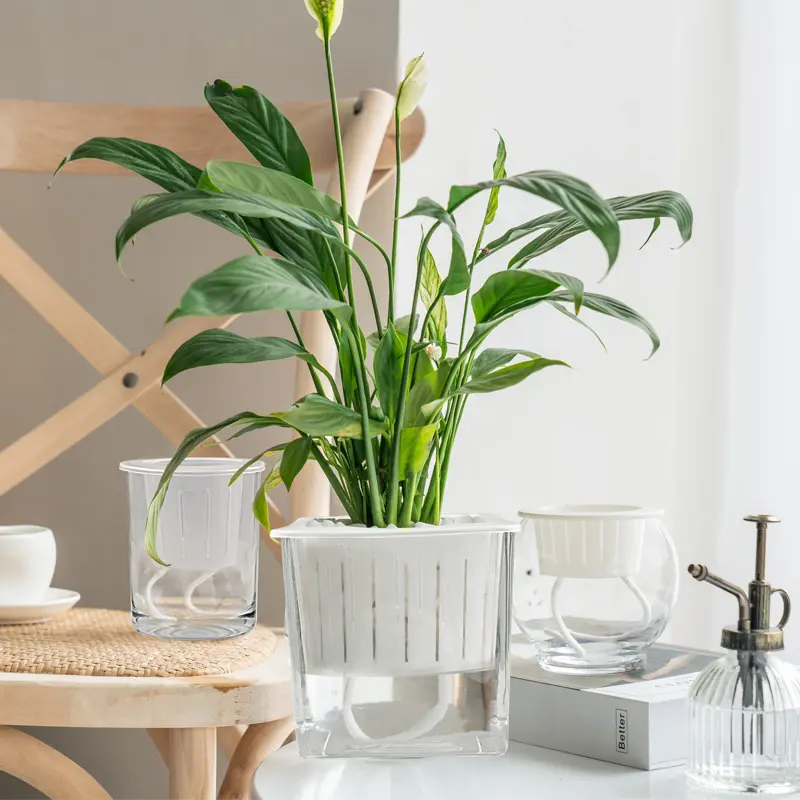 Vase en verre cristal avec cordes de chanvre, fleur hydroponique de culture de sol pour décoration de comptoir de maison