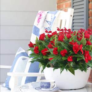 Fleurs d'impatiens artificielles pour la décoration extérieure de la cour, de la clôture, de la maison <span class=keywords><strong>et</strong></span> les accessoires de photographie de jardin - Product Image 1