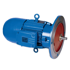 Motor de inducción trifásico de baja tensión WEG W21 con certificación ISO9001 y CCC, a prueba de explosiones, W21 WEG W21 Motor de inducción AC - Product Image 2