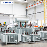 Transformateurs de puissance immergés dans l'huile triphasés personnalisables TSTYNICE 750 kVA Dyn11/Yyn0 Cuivre/Aluminium Tension d'entrée personnalisée