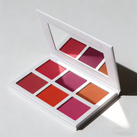 Palet Blush 6 Warna Tahan Air Merk Sendiri Private Label, Bedak Padat DIY untuk Rias Wajah