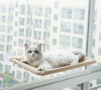 Hamac de fenêtre pour chat, mural et peu encombrant, avec ventouses puissantes, pour bronzer, observer les oiseaux et se reposer, respirant