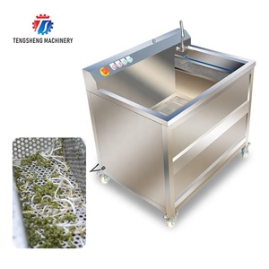 Automatique machine à laver à bulles pour les légumes surgelés <span class=keywords><strong>prix</strong></span> agricole tomates cerises machine à laver les fruits et légumes - Product Image 1