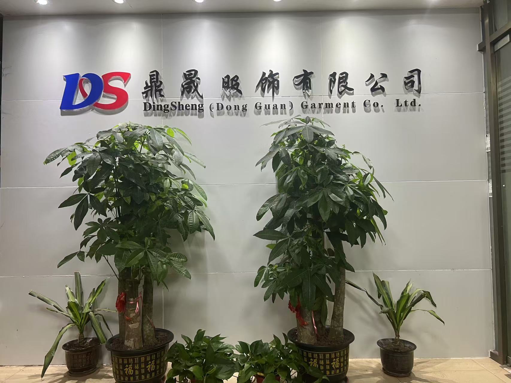 Dongguan Dingsheng Clothing Co., Ltd. logo