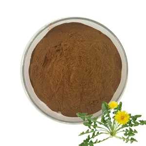 Quality Supplier Flavone Dandelion Root Extract Powder