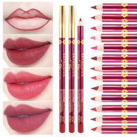 Crayon à lèvres de haute qualité, 13 couleurs, rétractable, imperméable, crème chimique, logo personnalisé, haute pigmentation naturelle